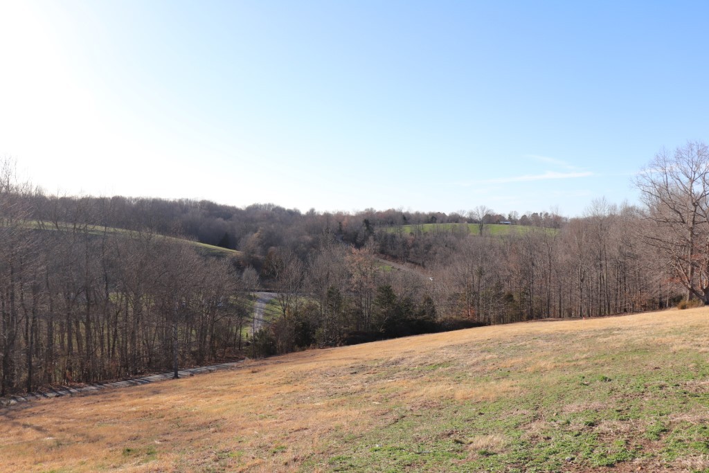 1 Purtle Road Lafayette, TN 37083 - Photo 7 of 8 Gallery Image 7