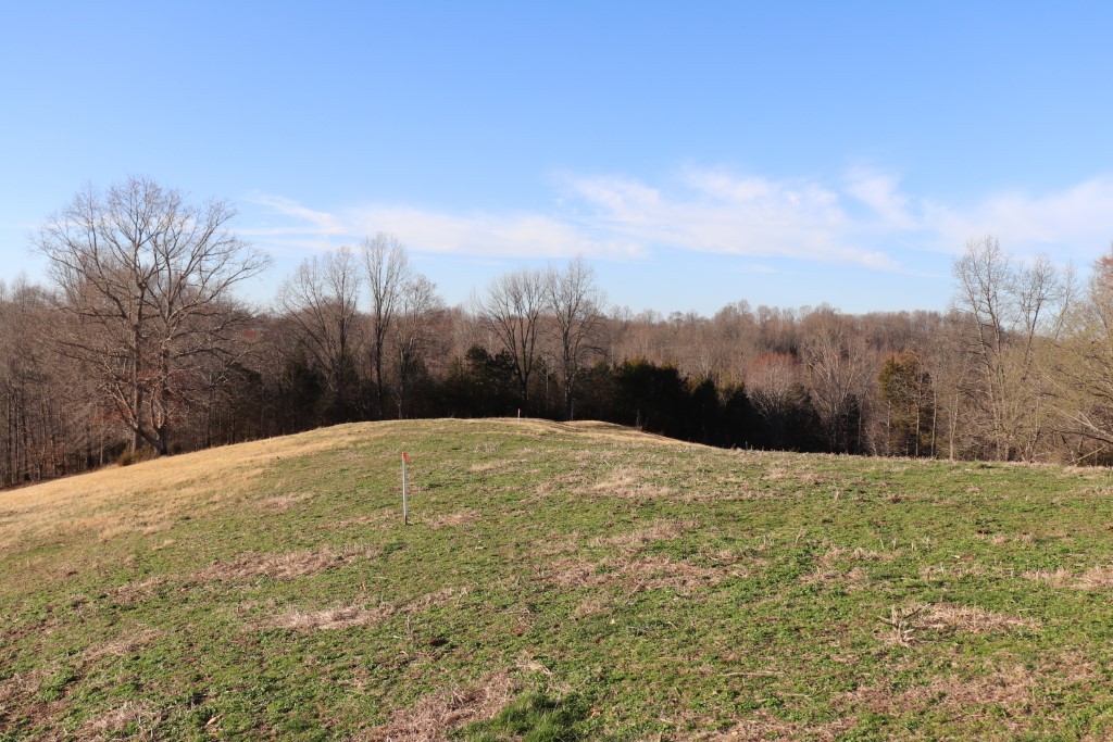 1 Purtle Road Lafayette, TN 37083 - Photo 8 of 8 Gallery Image 8