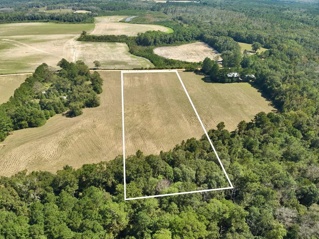 5.78-acres Cora Powell Road Samson, AL 36477 - Photo 3 of 10