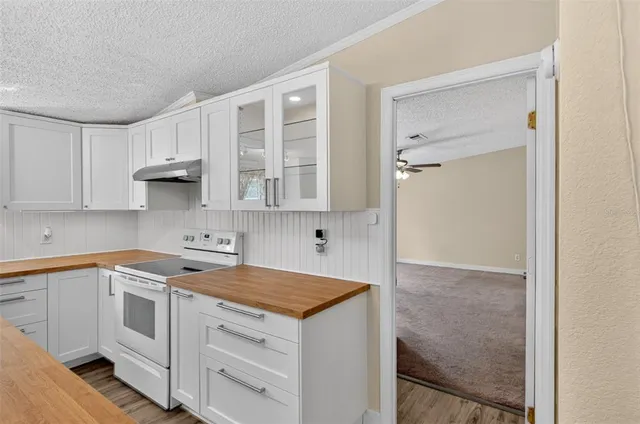 $250,000 | 28 Northeast 558 Avenue, Old Town, FL 32680