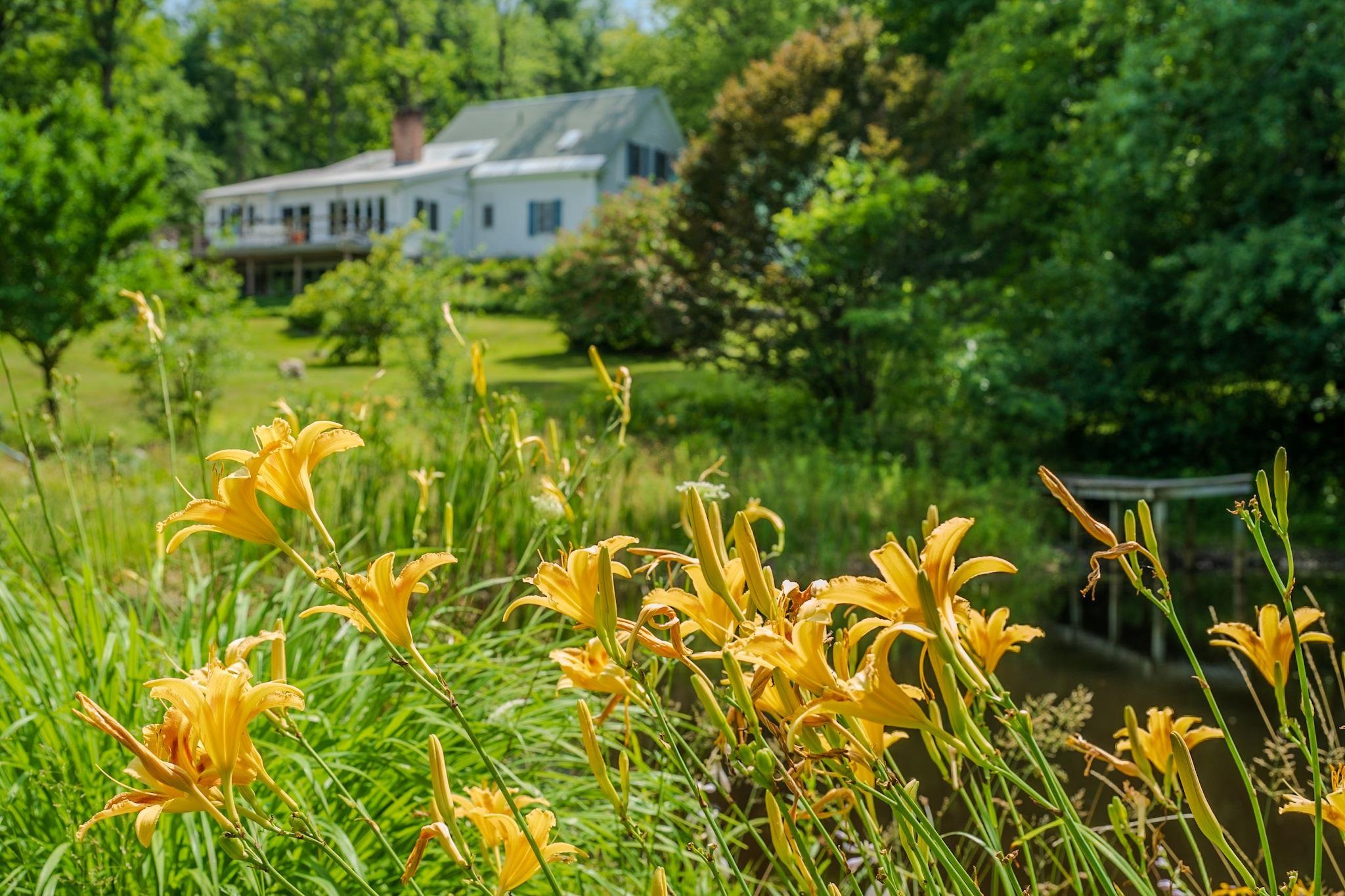 19 Grimes Hill Road Newfane, VT 05345 - Photo 35 of 44