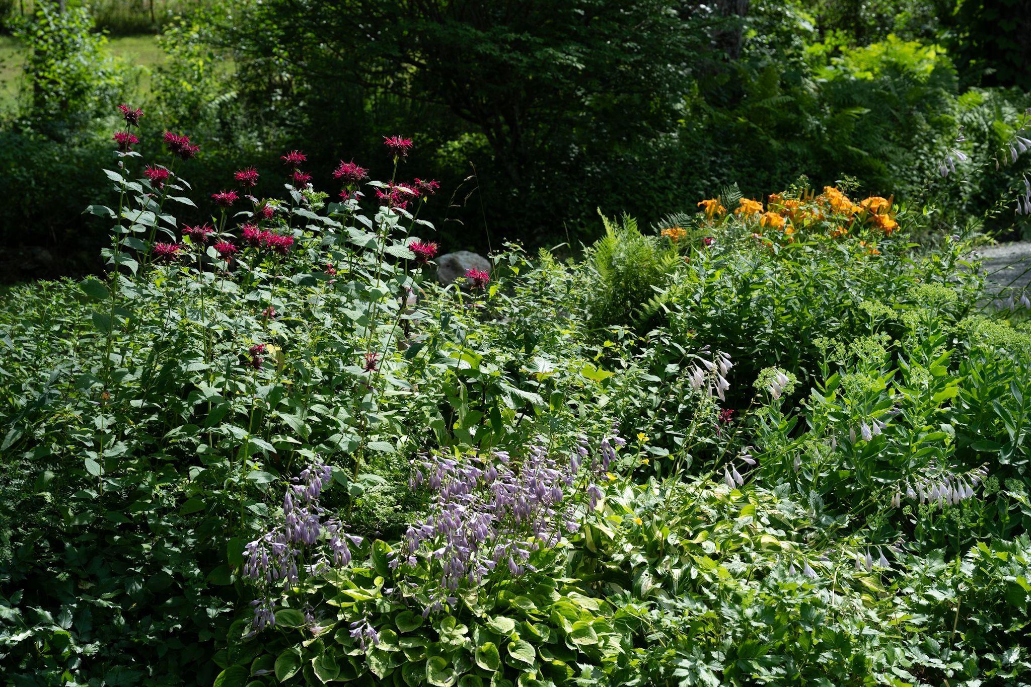 19 Grimes Hill Road Newfane, VT 05345 - Photo 36 of 44