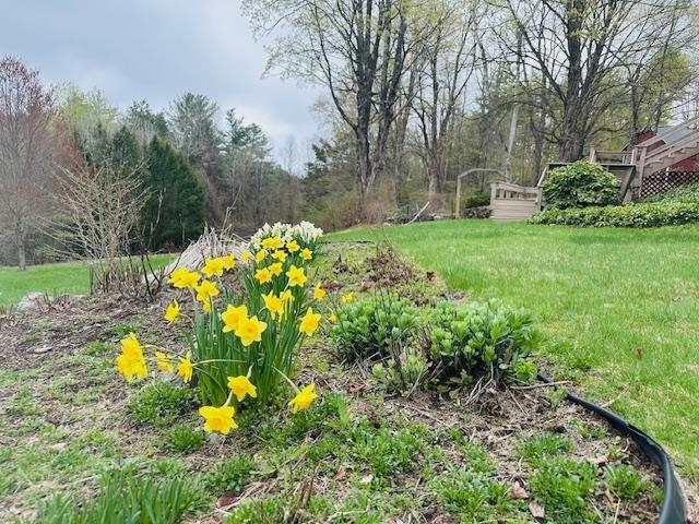 19 Grimes Hill Road Newfane, VT 05345 - Photo 41 of 44