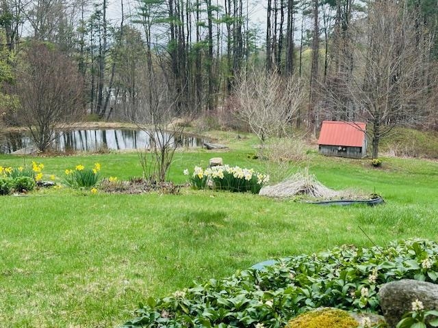 19 Grimes Hill Road Newfane, VT 05345 - Photo 42 of 44