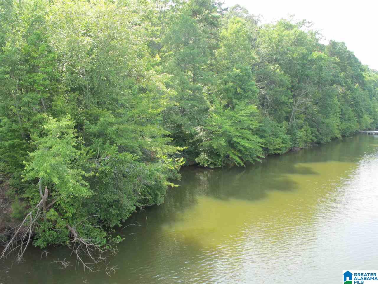 Lot # County Road 88, Unit 6 Wedowee, AL 36278 - Photo 4 of 7