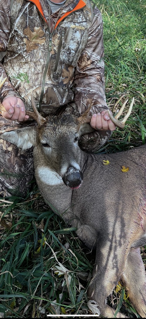 1 North 4201st Road Sheridan, IL 60551 - Photo 15 of 15 a view of a backyard of the house