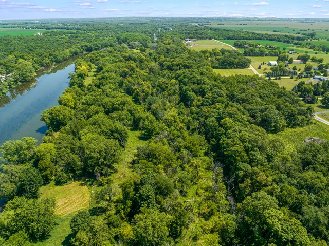 a view of a lush green forest with lots of trees