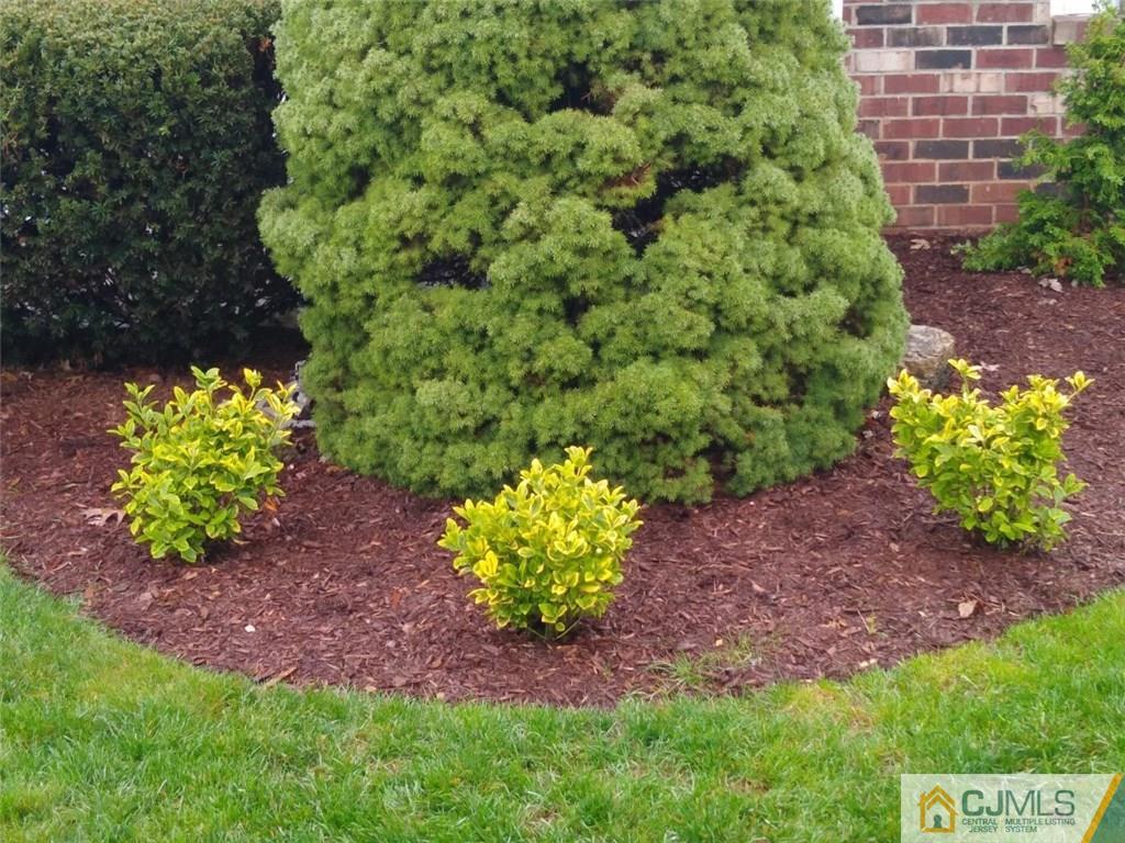 29 Richmond Road Edison, NJ 08817 - Photo 29 of 31 a view of a garden with a building