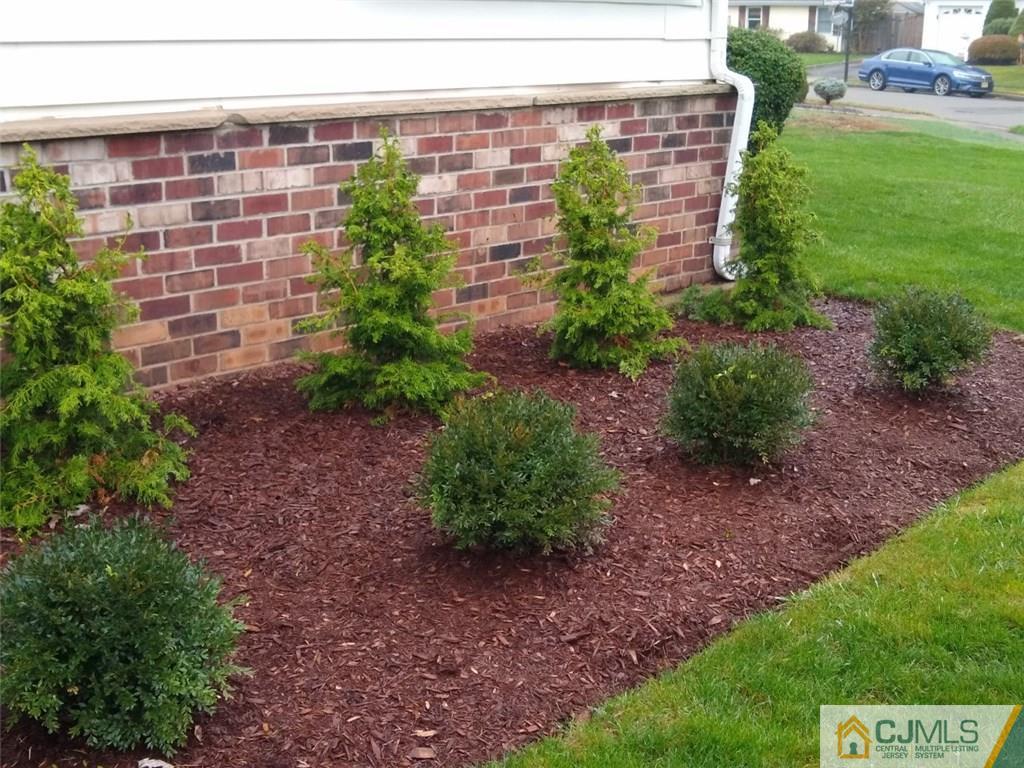 29 Richmond Road Edison, NJ 08817 - Photo 30 of 31 a view of a garden