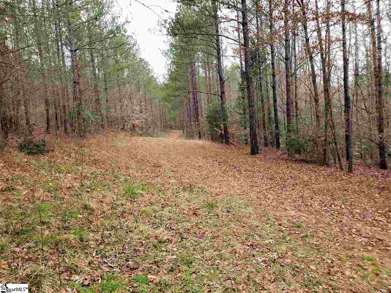 863 Dunklin Bridge Road, Unit LOT 24 Fountain Inn, SC 29644 - Photo 1 of 6