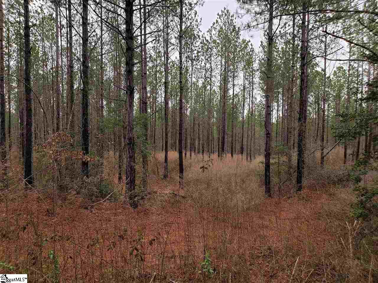 863 Dunklin Bridge Road, Unit LOT 24 Fountain Inn, SC 29644 - Photo 3 of 6