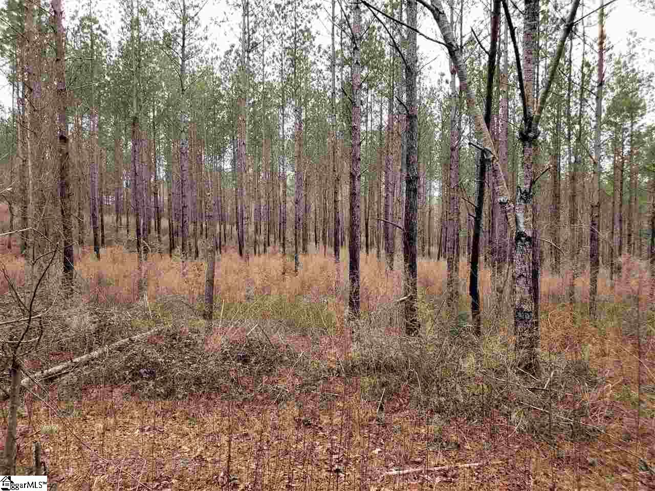 863 Dunklin Bridge Road, Unit LOT 24 Fountain Inn, SC 29644 - Photo 5 of 6
