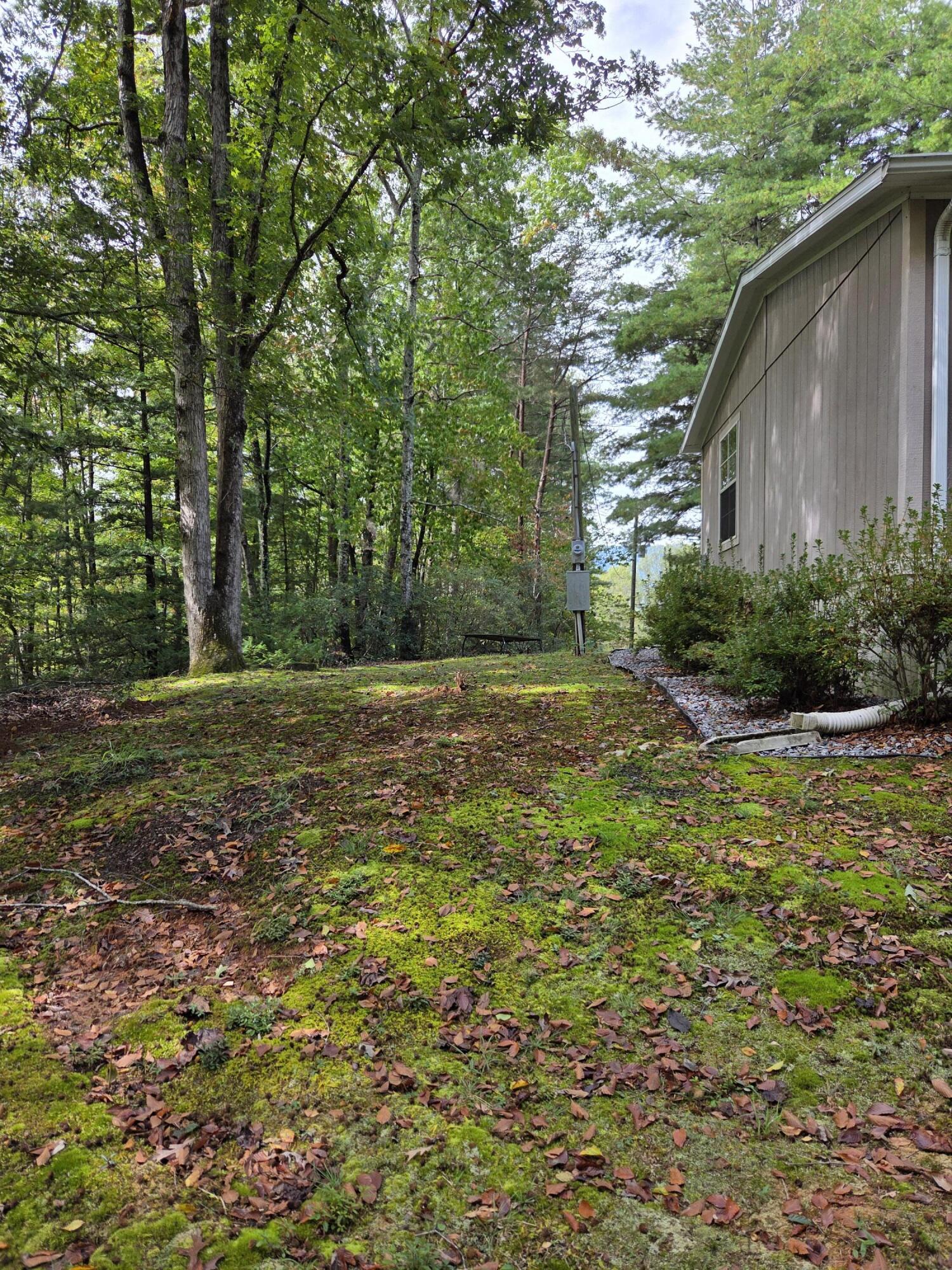 2031 Lone Ivy Road Stuart, VA 24171 - Photo 13 of 47 20250930_124432