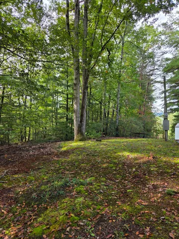 $164,000 | 2031 Lone Ivy Road, Stuart, VA 24171