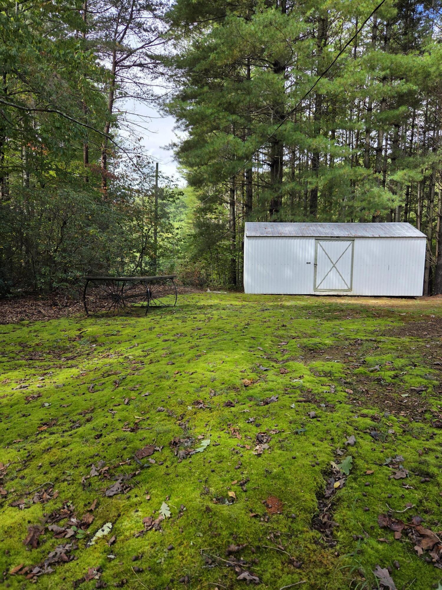 2031 Lone Ivy Road Stuart, VA 24171 - Photo 16 of 47 20250930_124516