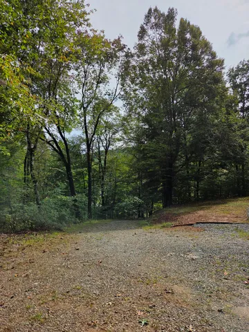 $164,000 | 2031 Lone Ivy Road, Stuart, VA 24171