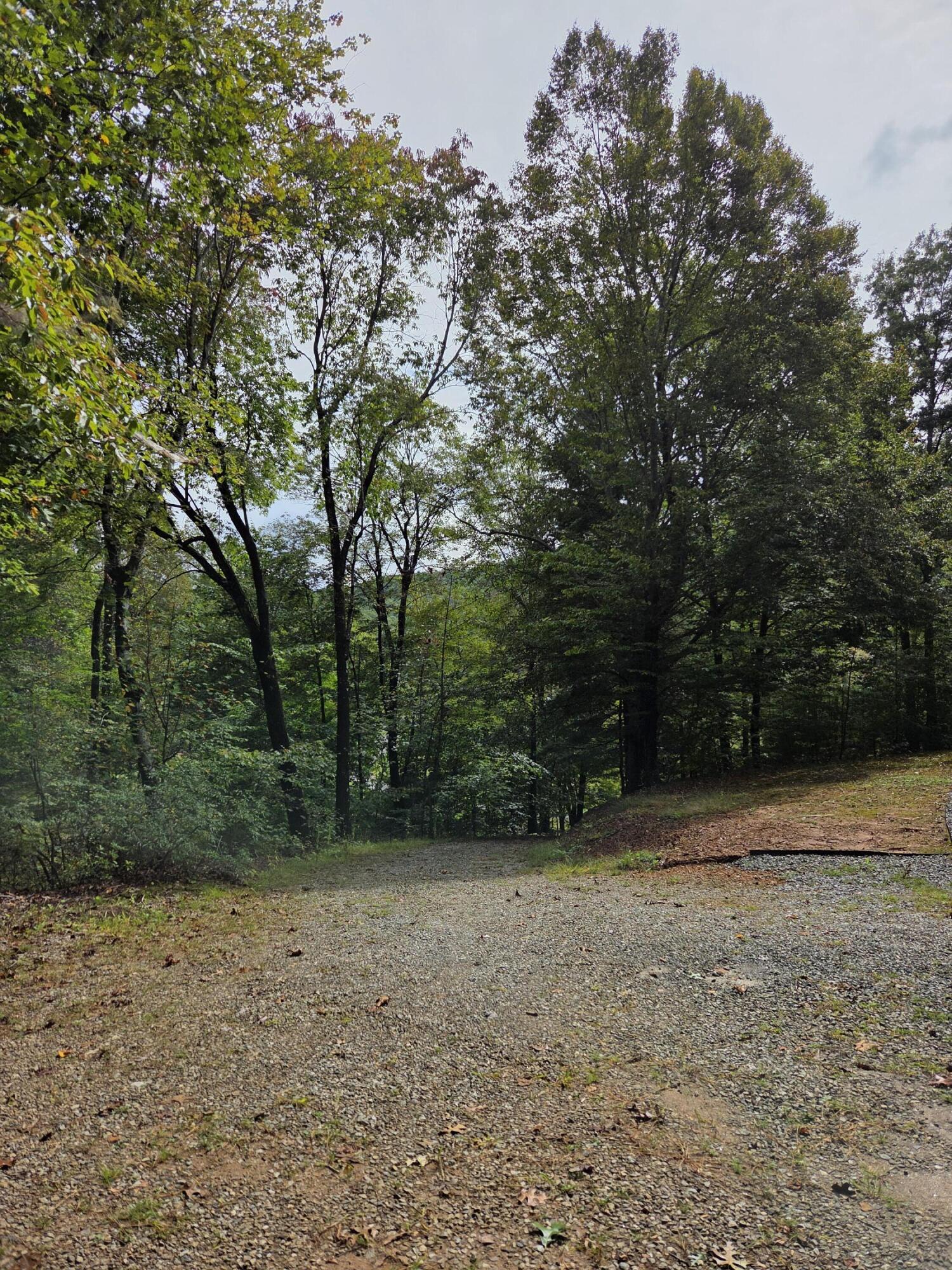 2031 Lone Ivy Road Stuart, VA 24171 - Photo 2 of 47 20250930_123934