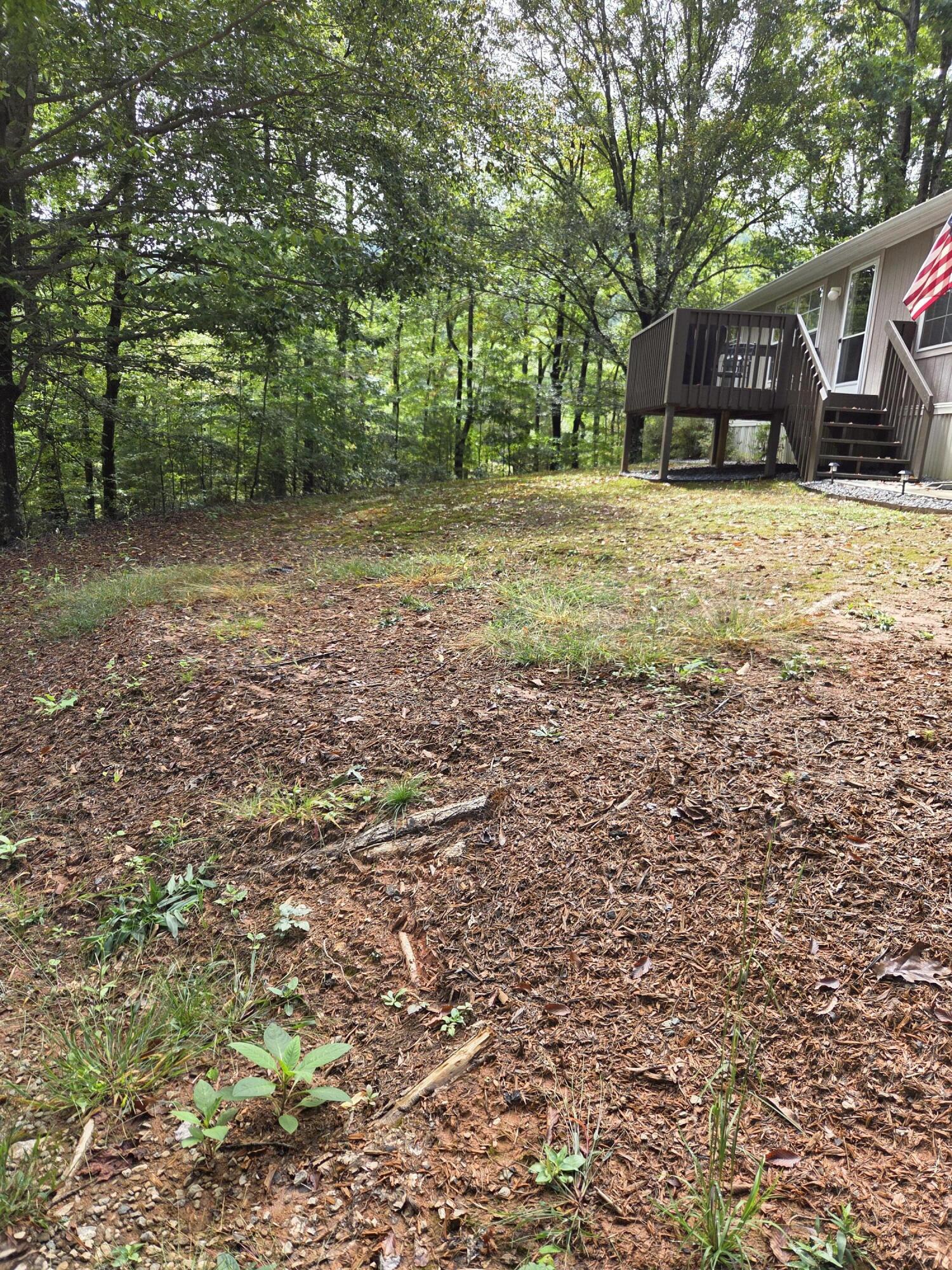 2031 Lone Ivy Road Stuart, VA 24171 - Photo 5 of 47 20250930_124216