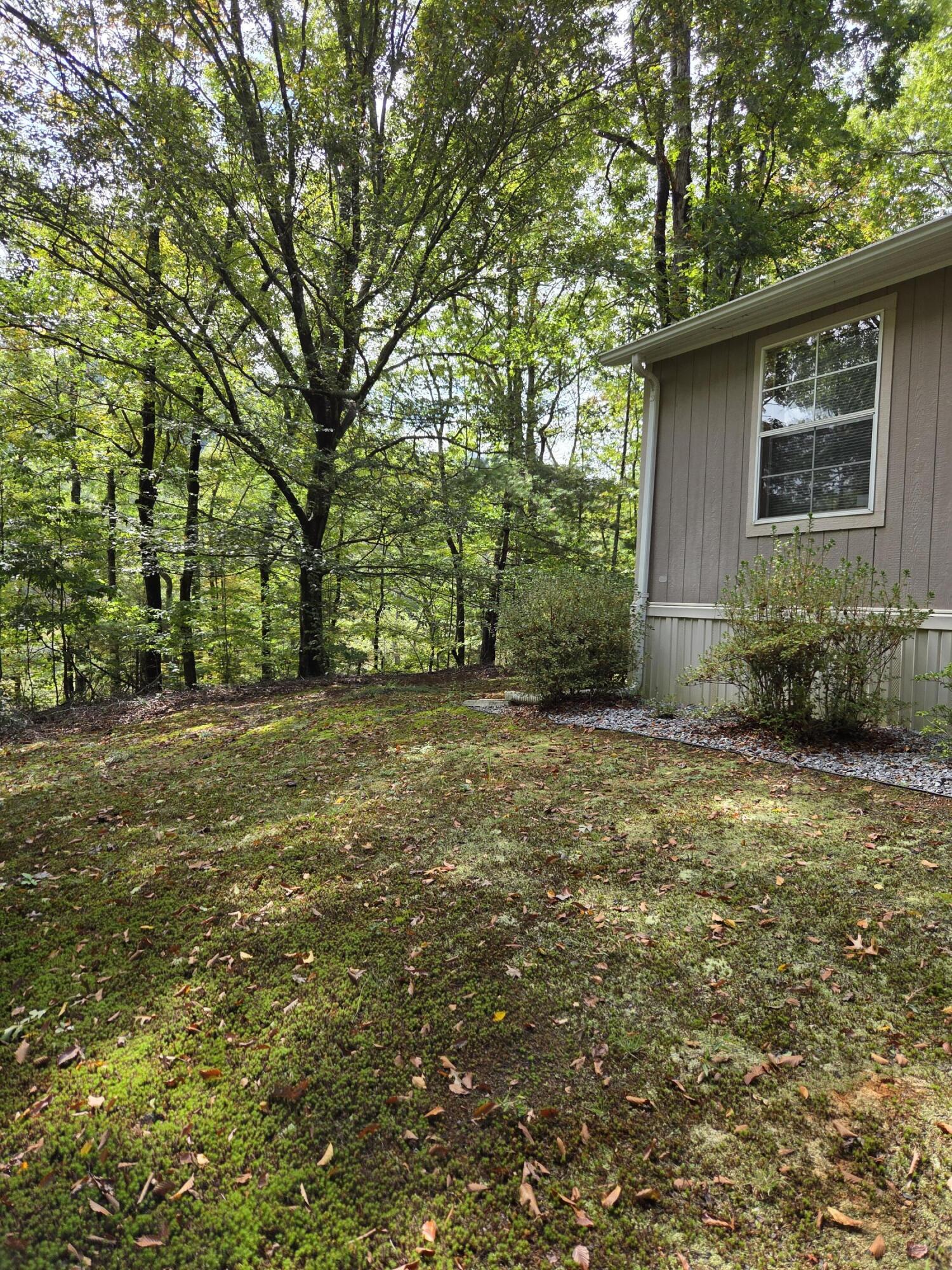 2031 Lone Ivy Road Stuart, VA 24171 - Photo 10 of 47 20250930_124408
