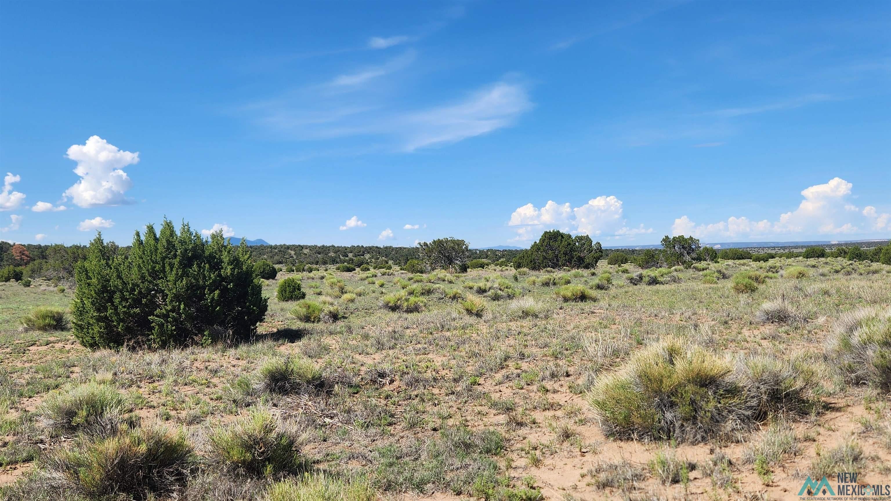 Tbd Tbd Tonto Road Quemado, NM 87829 - Photo 9 of 9