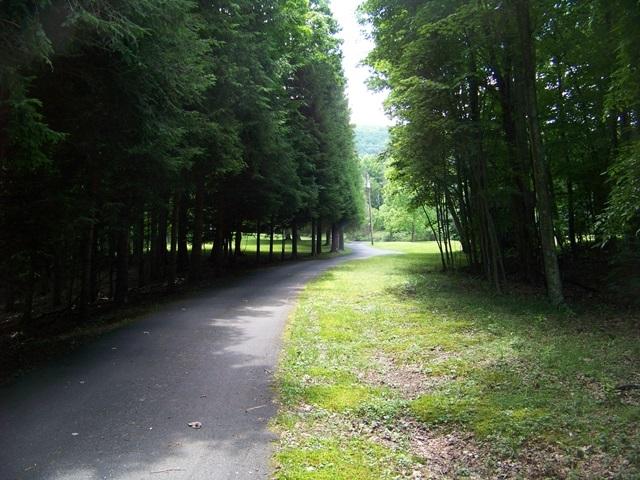 6581 Zenith Road Waiteville, WV 24984 - Photo 20 of 57 Gallery Image 20