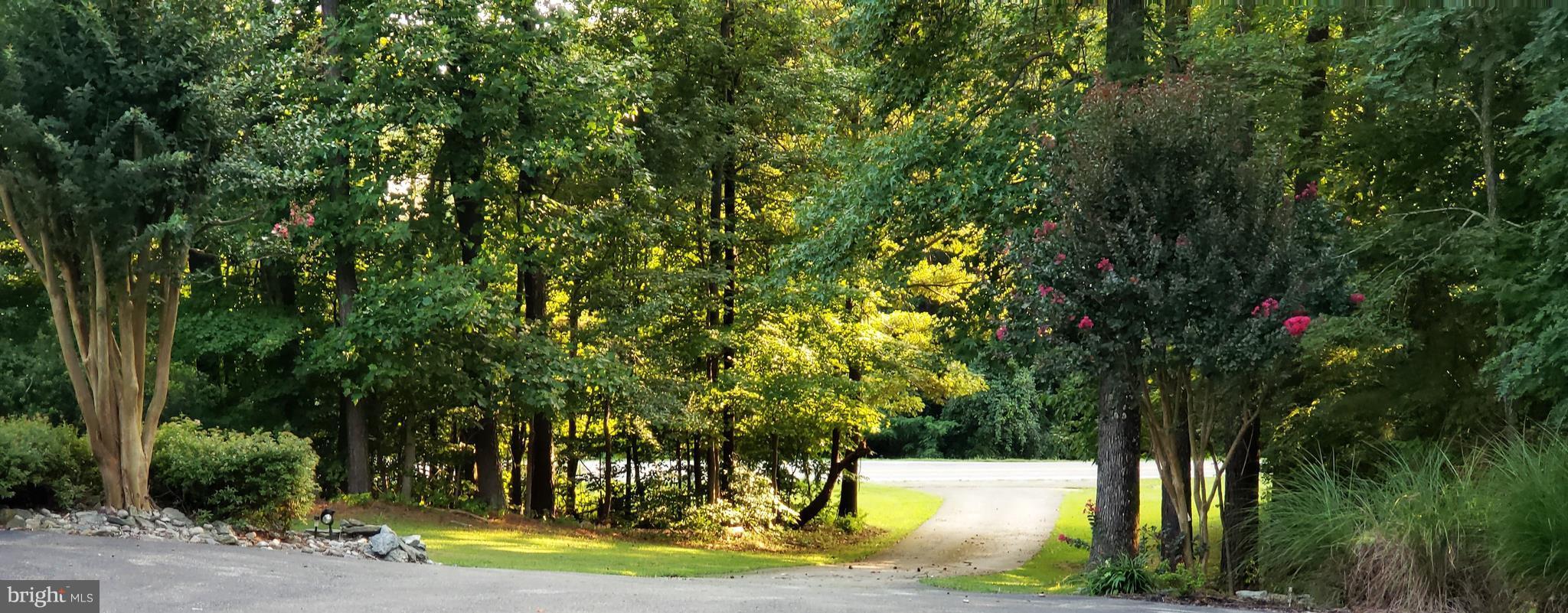 1321 Emmanuel Church Road Huntingtown, MD 20639 - Photo 4 of 30 View looking from home to road