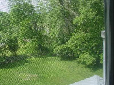 125 Buck Run Road Versailles, KY 40383 - Photo 8 of 22 River view and back yard from Master Bed