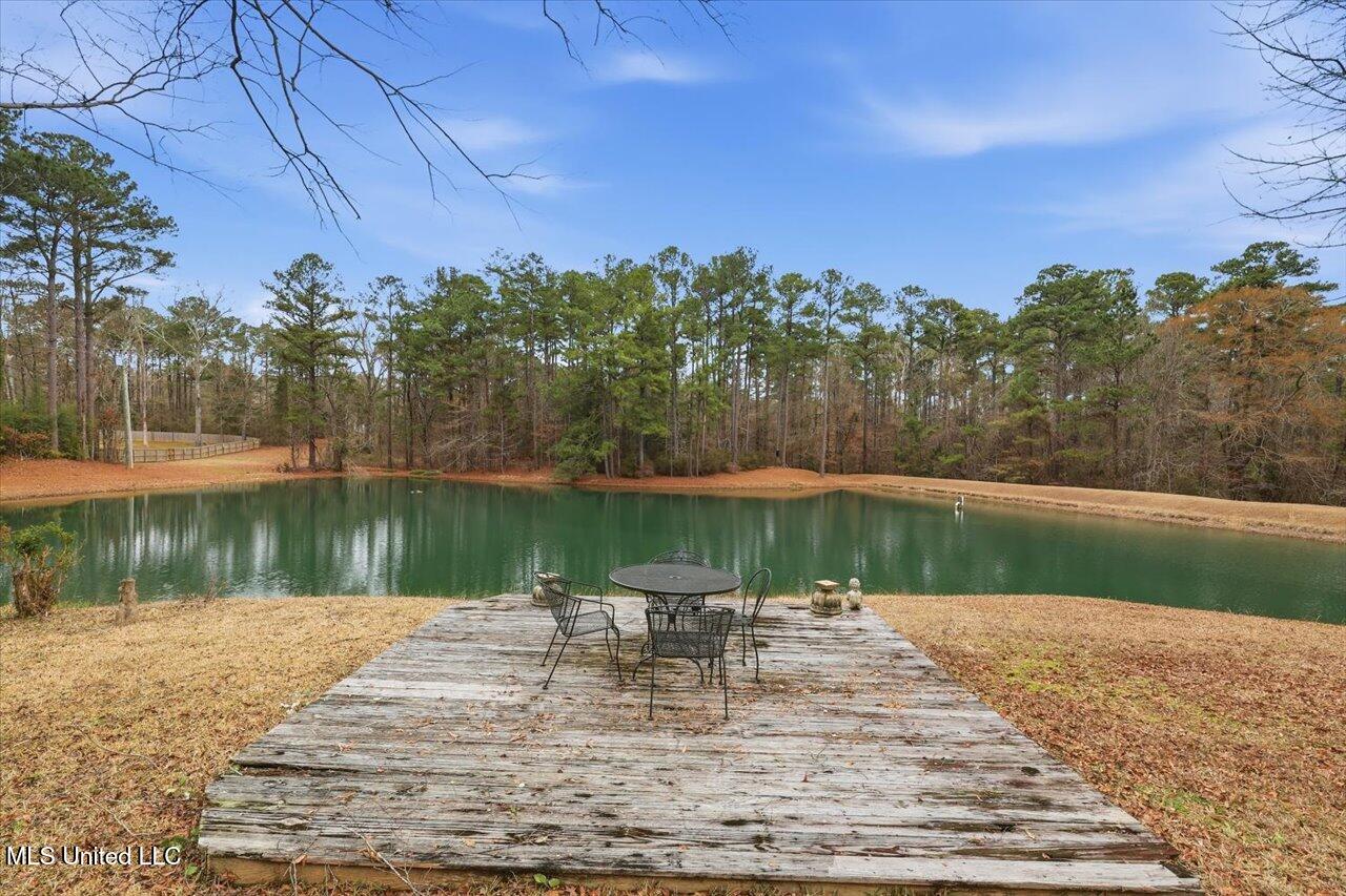 1407 Monterey Road Florence, MS 39073 - Photo 40 of 75 40-1407 Monterey Rd _ Home Tours MS