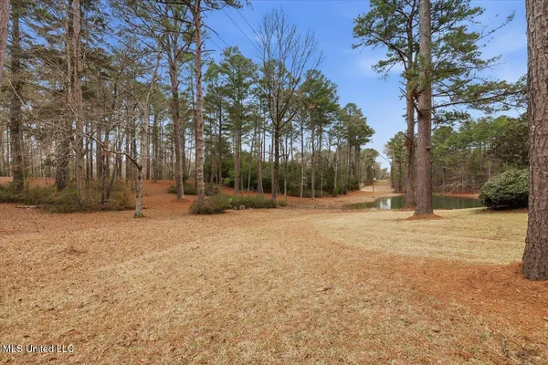 $550,000 | 1407 Monterey Road, Florence, MS 39073