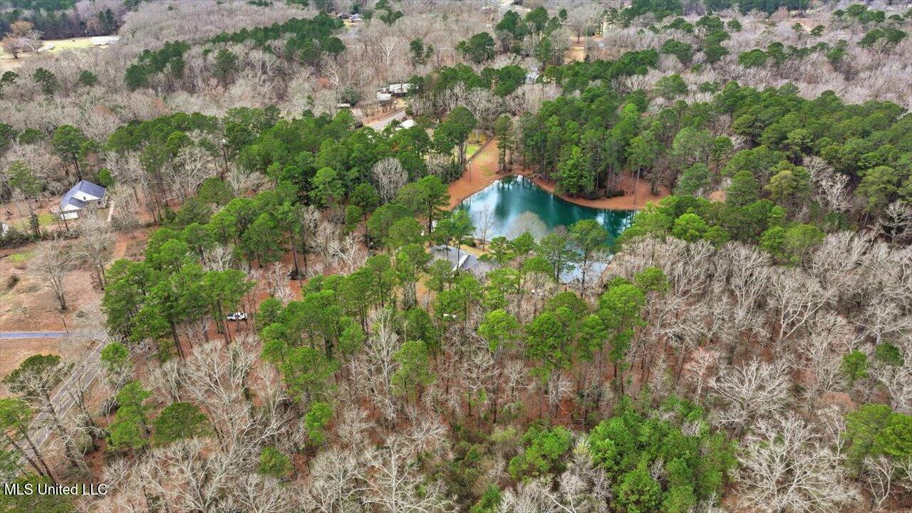 1407 Monterey Road Florence, MS 39073 - Photo 49 of 75 49-1407 Monterey Rd _ Home Tours MS