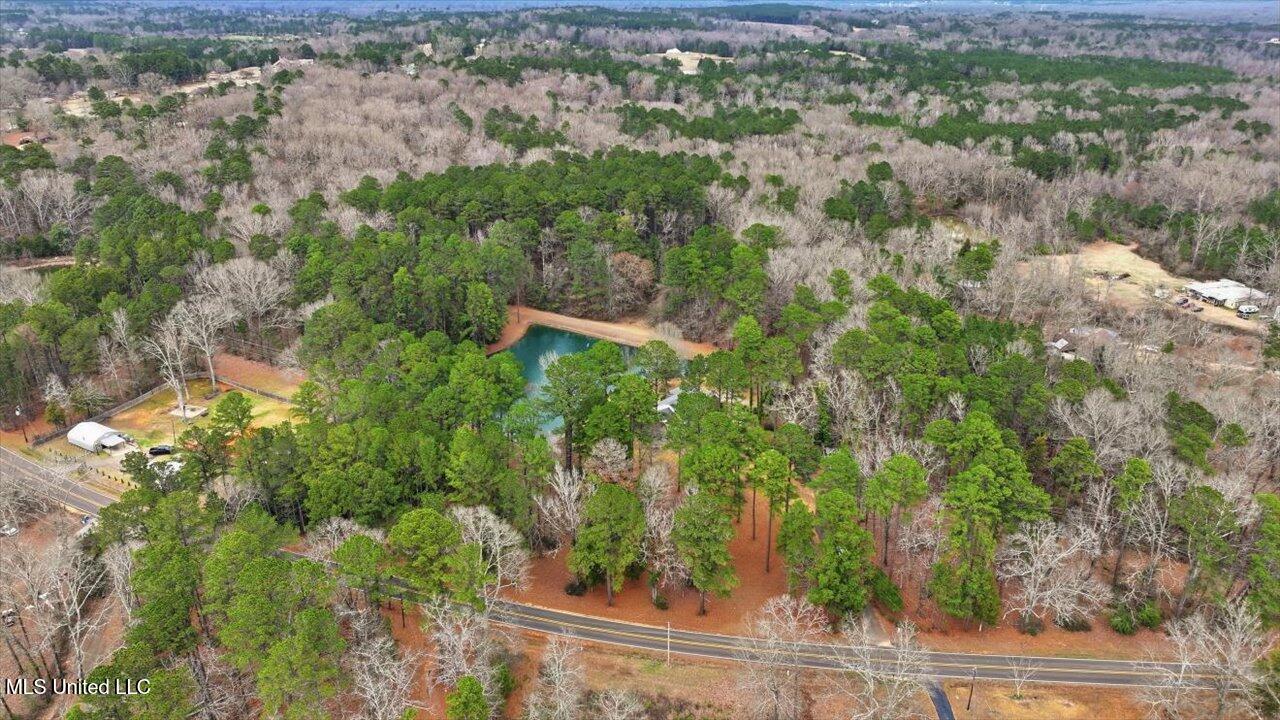 1407 Monterey Road Florence, MS 39073 - Photo 52 of 75 52-1407 Monterey Rd _ Home Tours MS