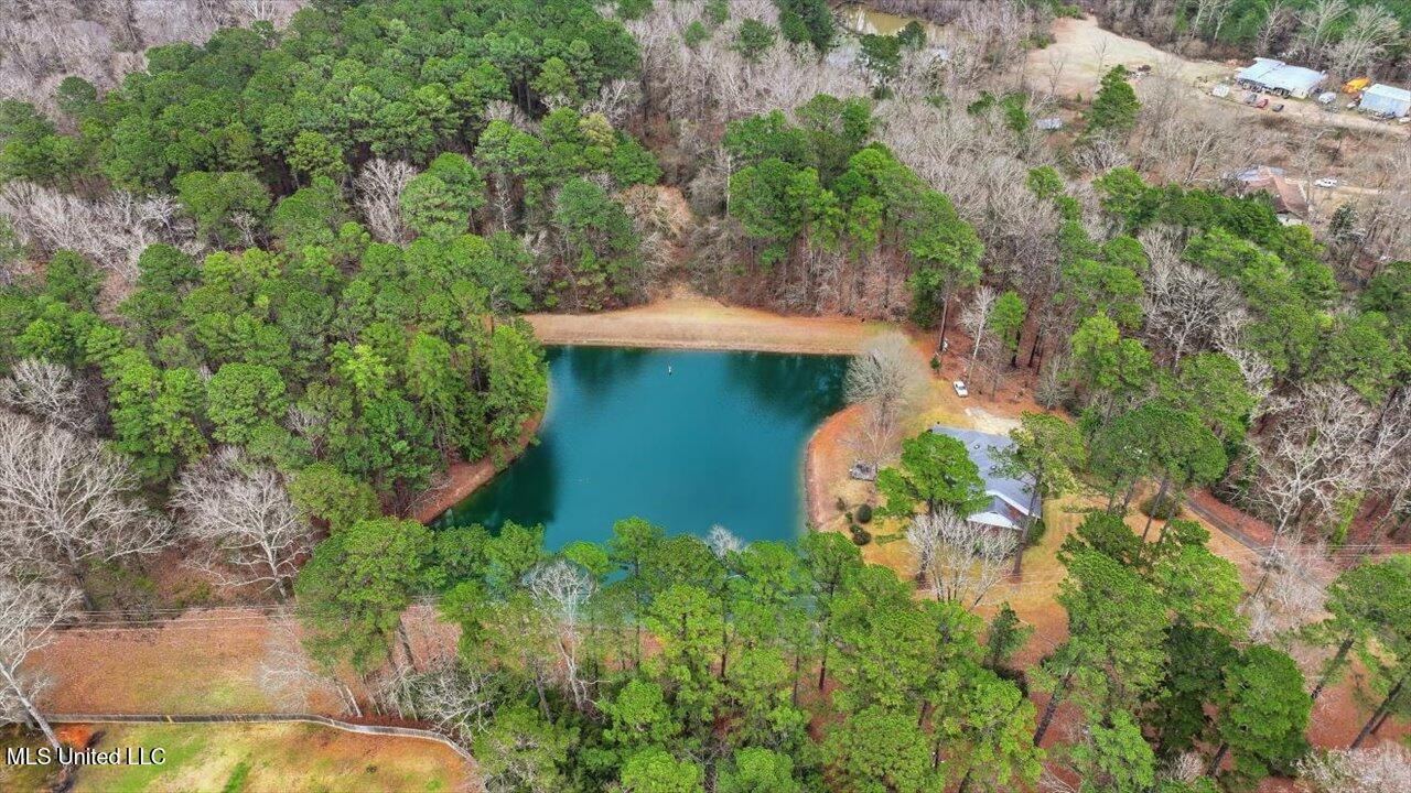 1407 Monterey Road Florence, MS 39073 - Photo 54 of 75 54-1407 Monterey Rd _ Home Tours MS