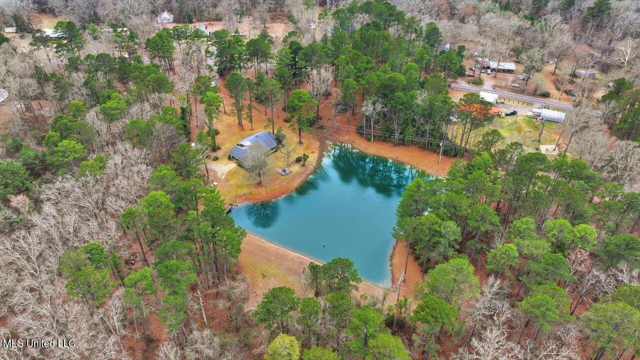 1407 Monterey Road Florence, MS 39073 - Photo 57 of 75 57-1407 Monterey Rd _ Home Tours MS