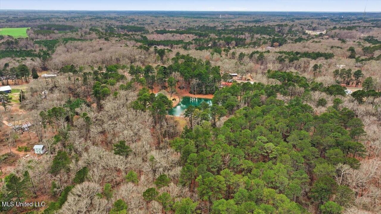 1407 Monterey Road Florence, MS 39073 - Photo 59 of 75 59-1407 Monterey Rd _ Home Tours MS