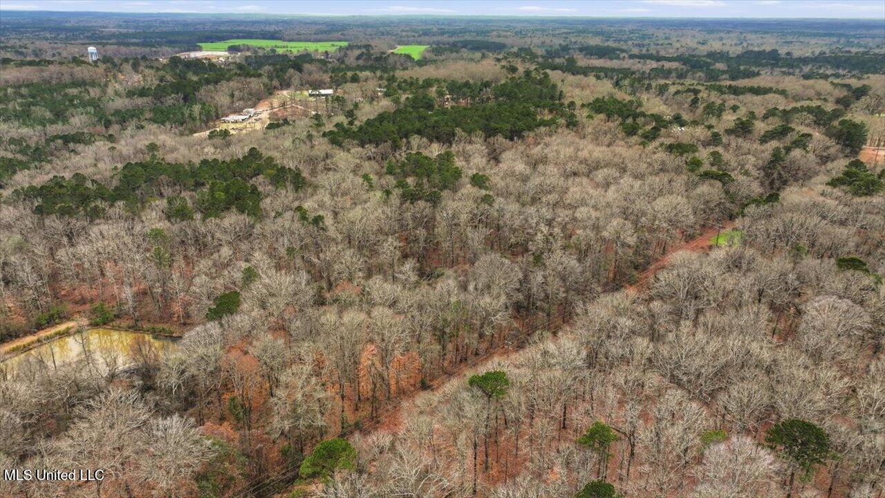 1407 Monterey Road Florence, MS 39073 - Photo 60 of 75 60-1407 Monterey Rd _ Home Tours MS