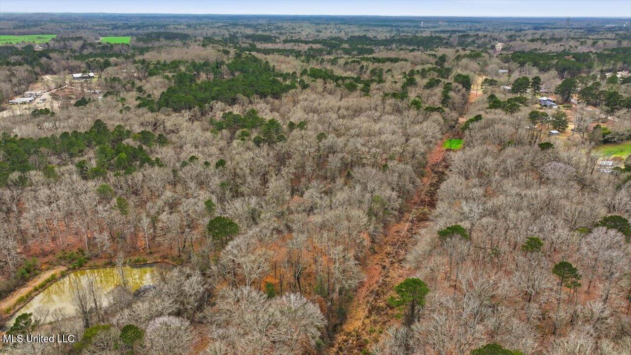 1407 Monterey Road Florence, MS 39073 - Photo 61 of 75 61-1407 Monterey Rd _ Home Tours MS