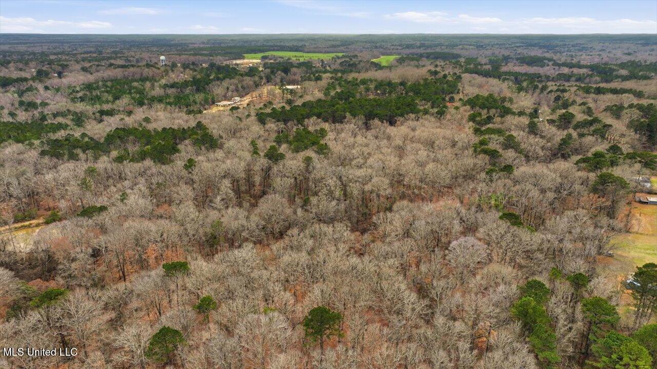 1407 Monterey Road Florence, MS 39073 - Photo 62 of 75 62-1407 Monterey Rd _ Home Tours MS