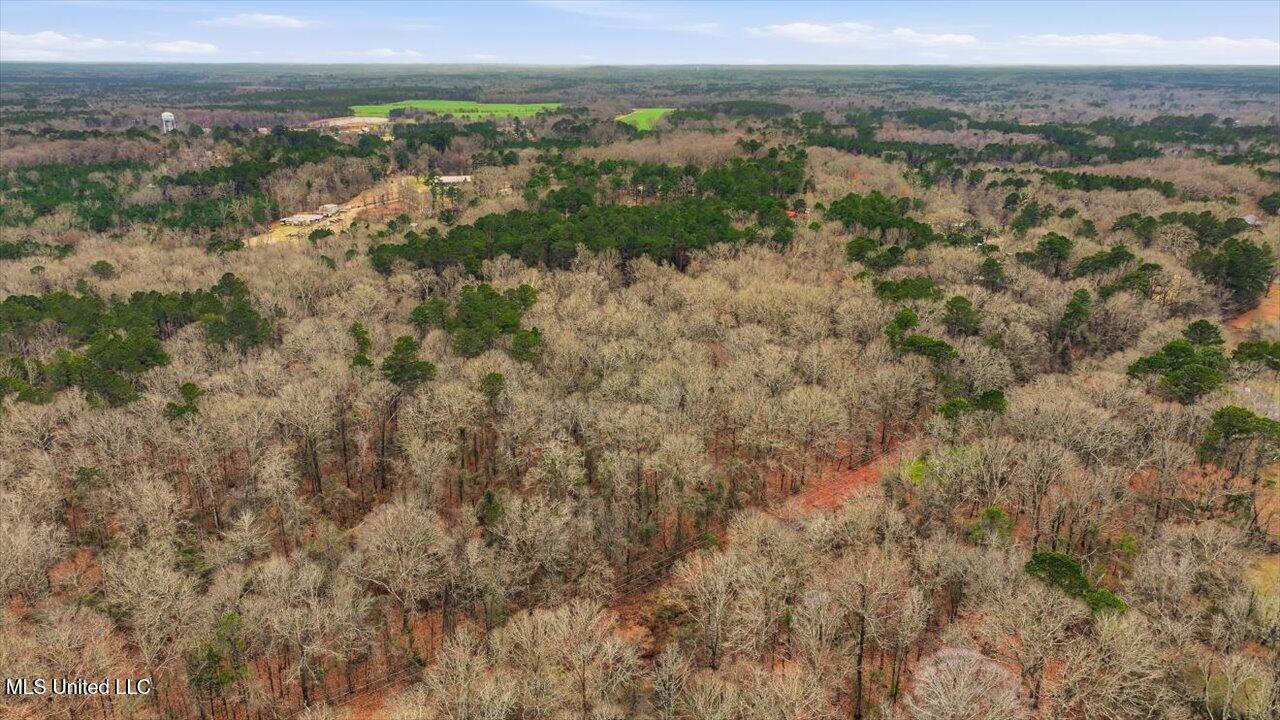 1407 Monterey Road Florence, MS 39073 - Photo 63 of 75 63-1407 Monterey Rd _ Home Tours MS