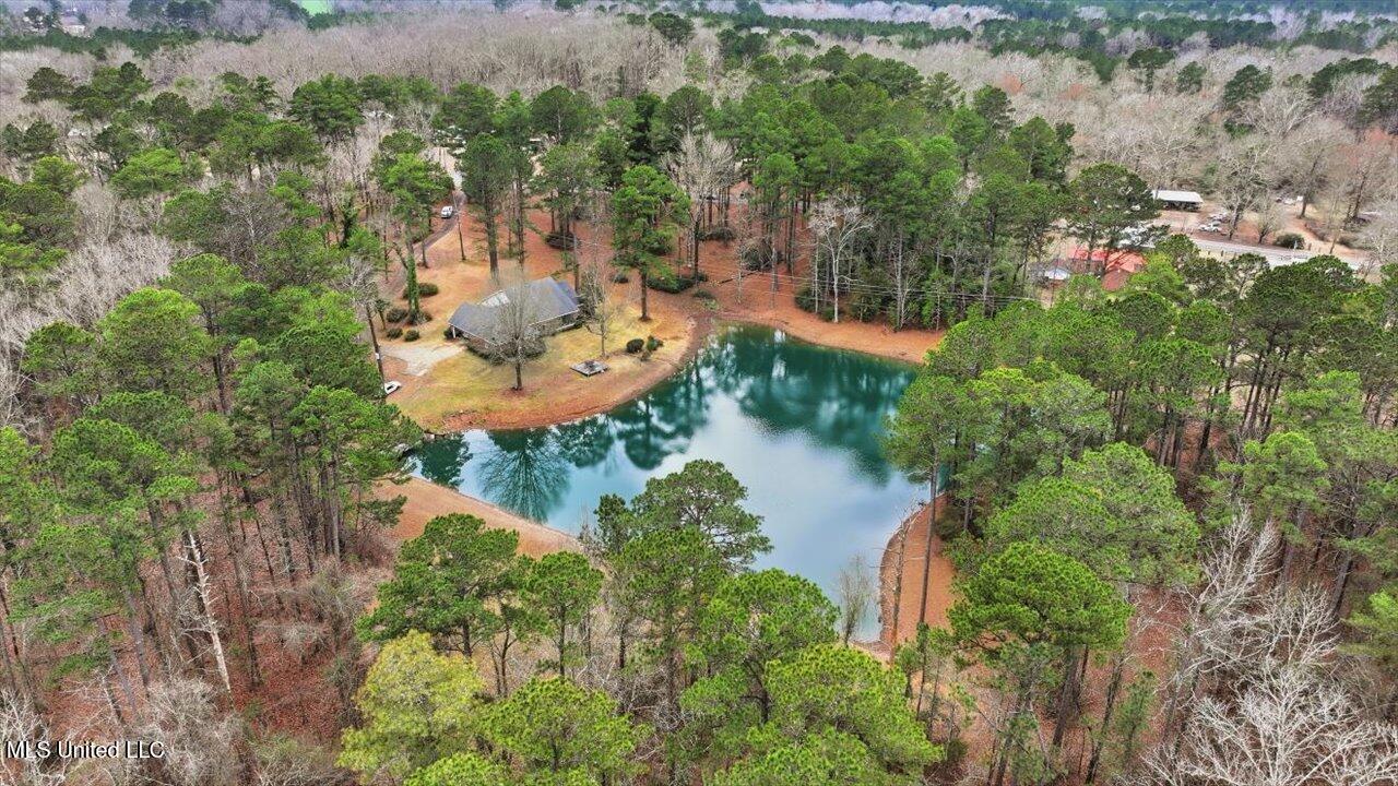 1407 Monterey Road Florence, MS 39073 - Photo 67 of 75 67-1407 Monterey Rd _ Home Tours MS