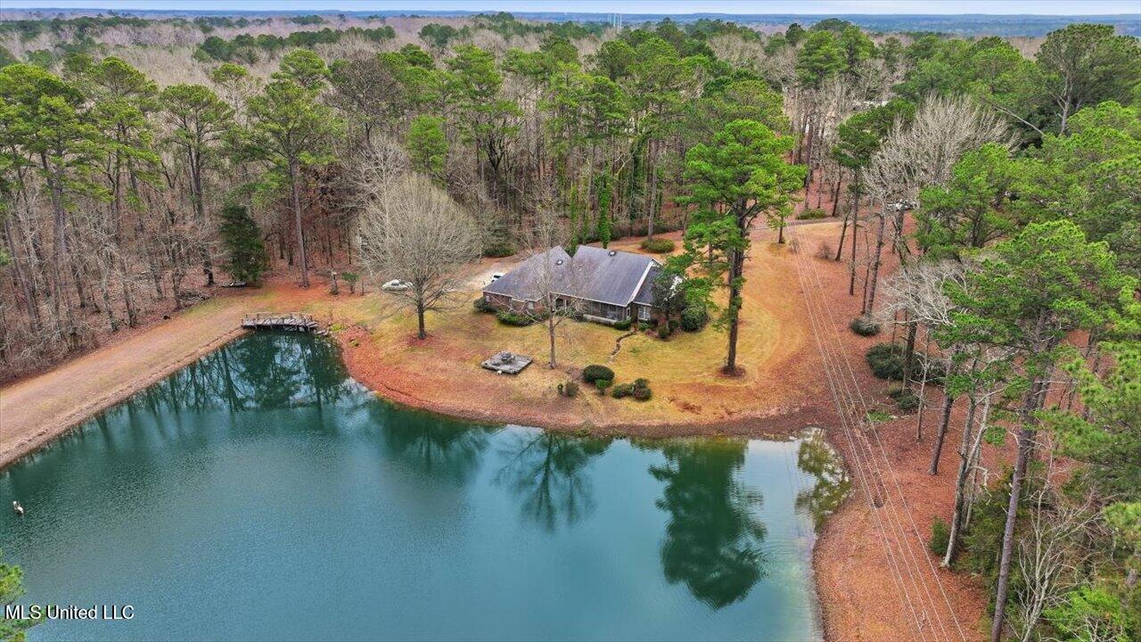 1407 Monterey Road Florence, MS 39073 - Photo 70 of 75 70-1407 Monterey Rd _ Home Tours MS