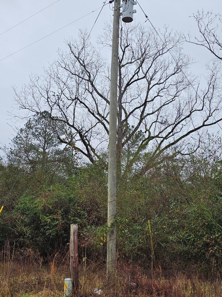 1611 Neal Road Junction City, GA 31812 - Photo 29 of 29 Gallery Image 29