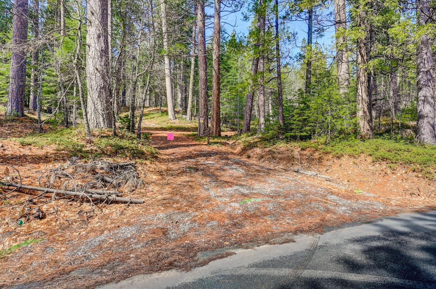 a backyard of a house with lots of green space and chair