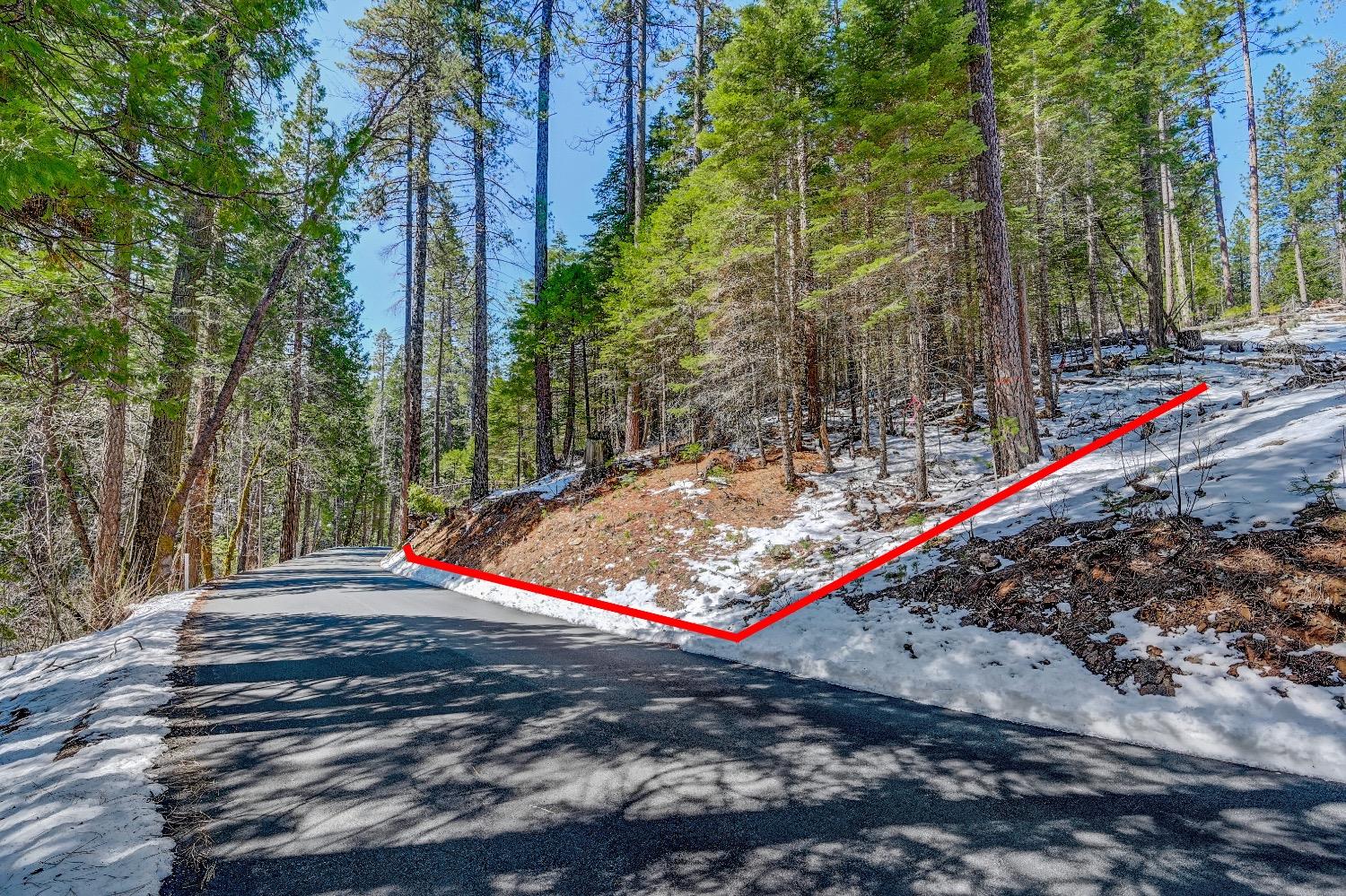 3488 Moran Road Arnold, CA 95223 - Photo 12 of 27 a view of a park with large trees