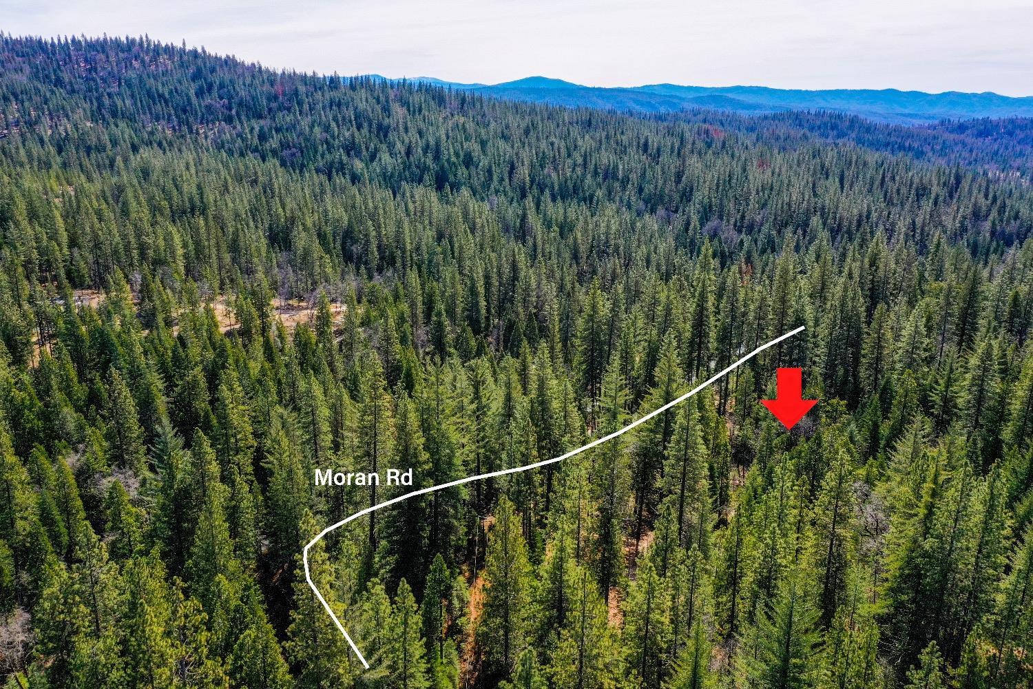 3488 Moran Road Arnold, CA 95223 - Photo 18 of 27 a view of a lush green hillside and a houses