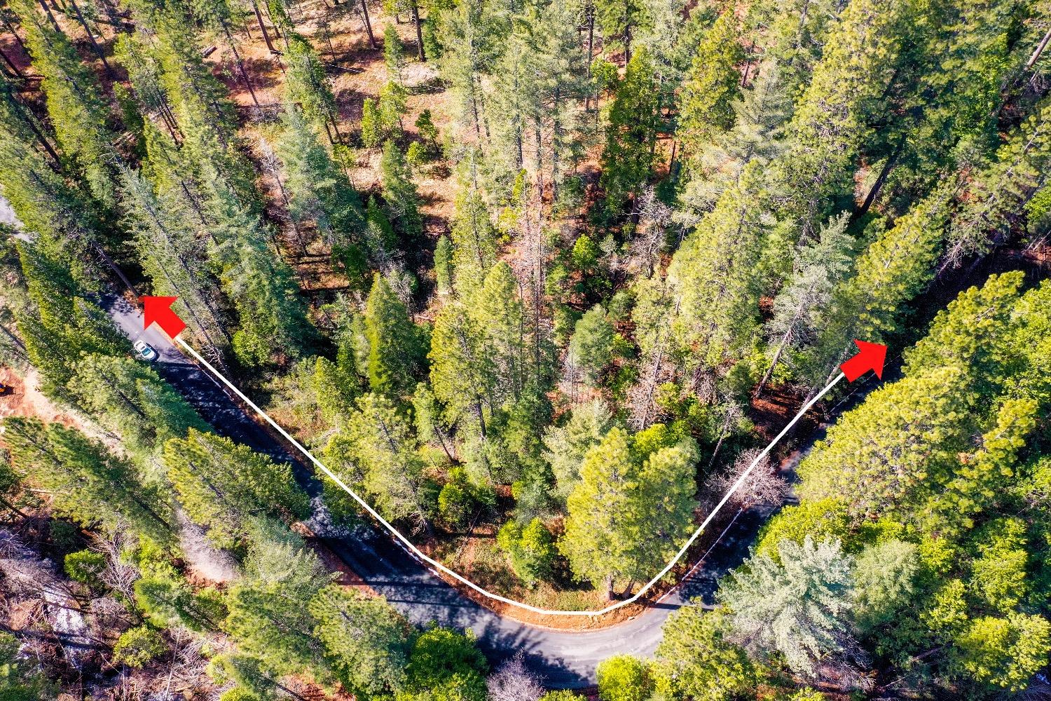 3488 Moran Road Arnold, CA 95223 - Photo 19 of 27 a view of a garden