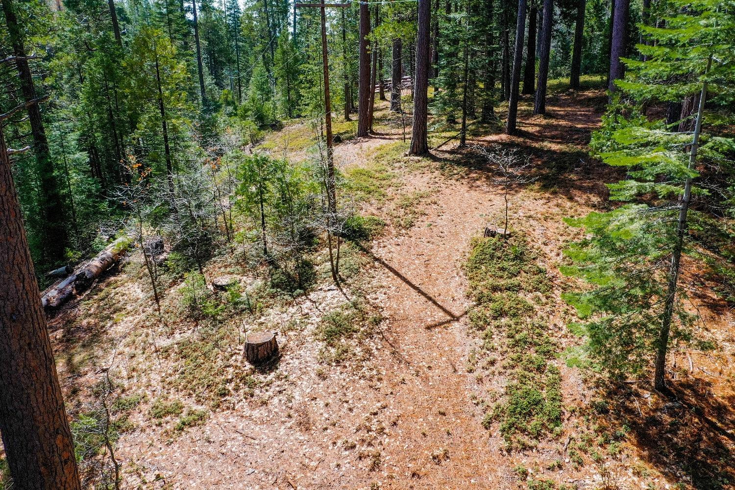 3488 Moran Road Arnold, CA 95223 - Photo 21 of 27 a view of outdoor space with trees