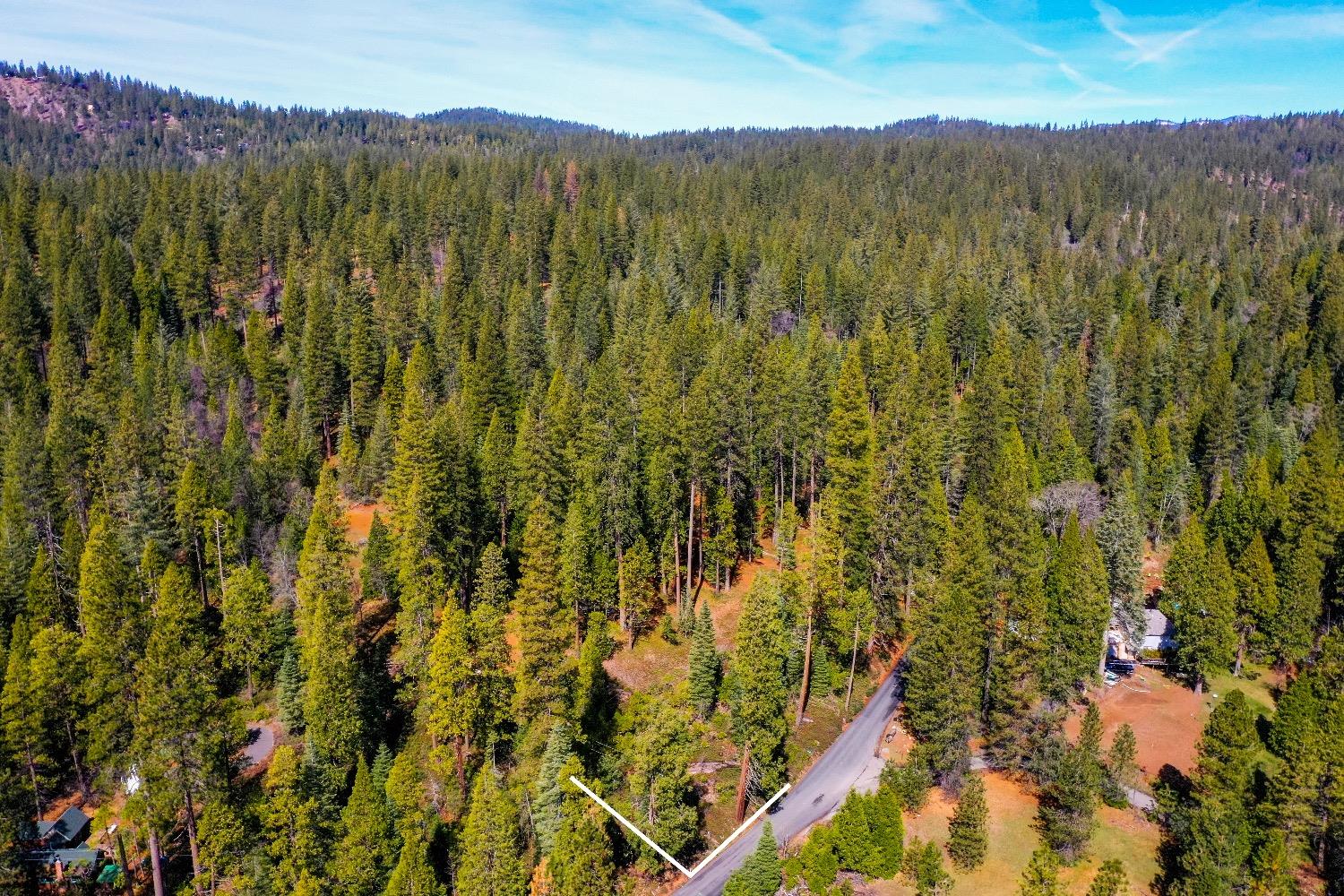 3488 Moran Road Arnold, CA 95223 - Photo 23 of 27 a view of a lush green field with a mountain in the background