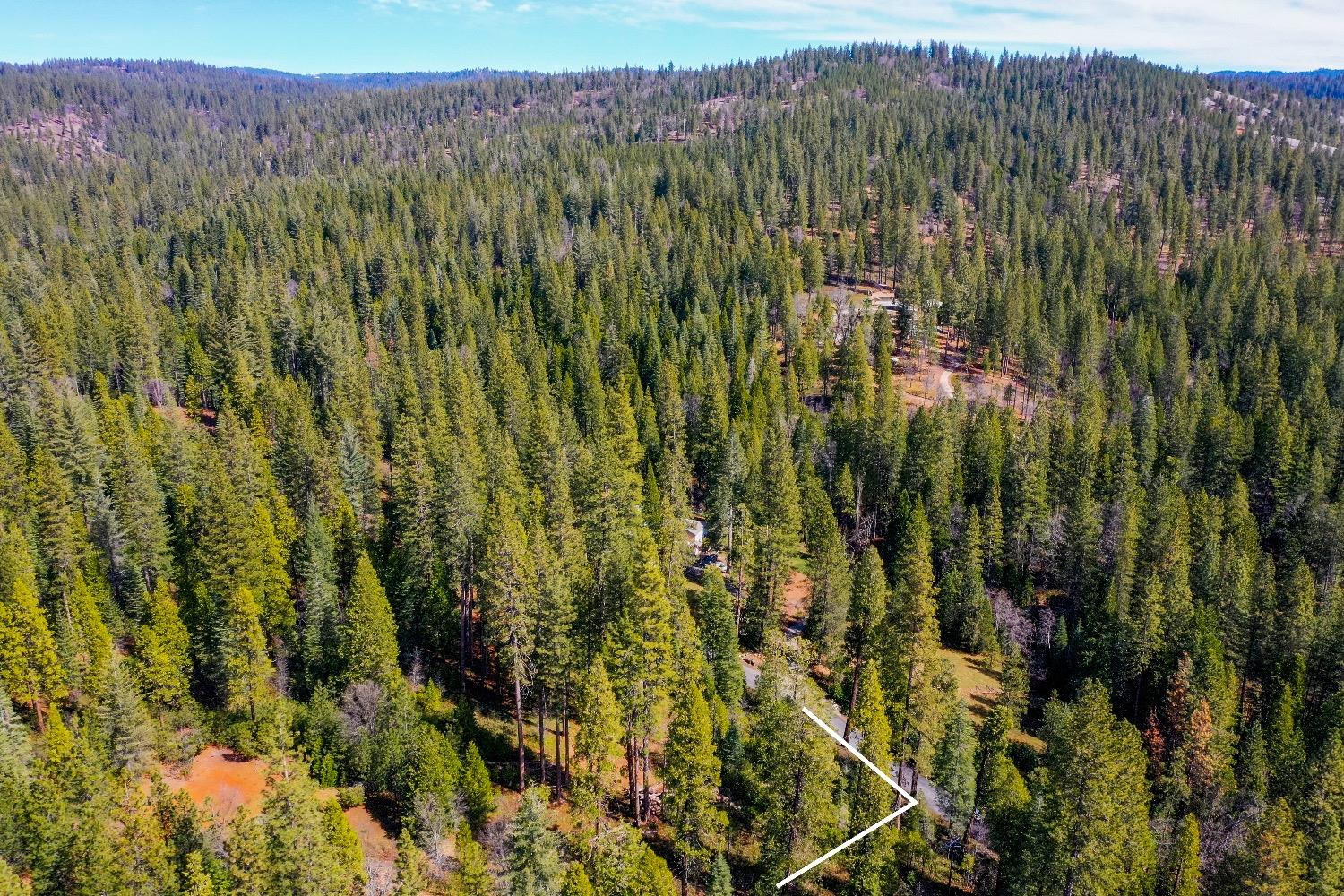 3488 Moran Road Arnold, CA 95223 - Photo 24 of 27 a view of a bunch of trees