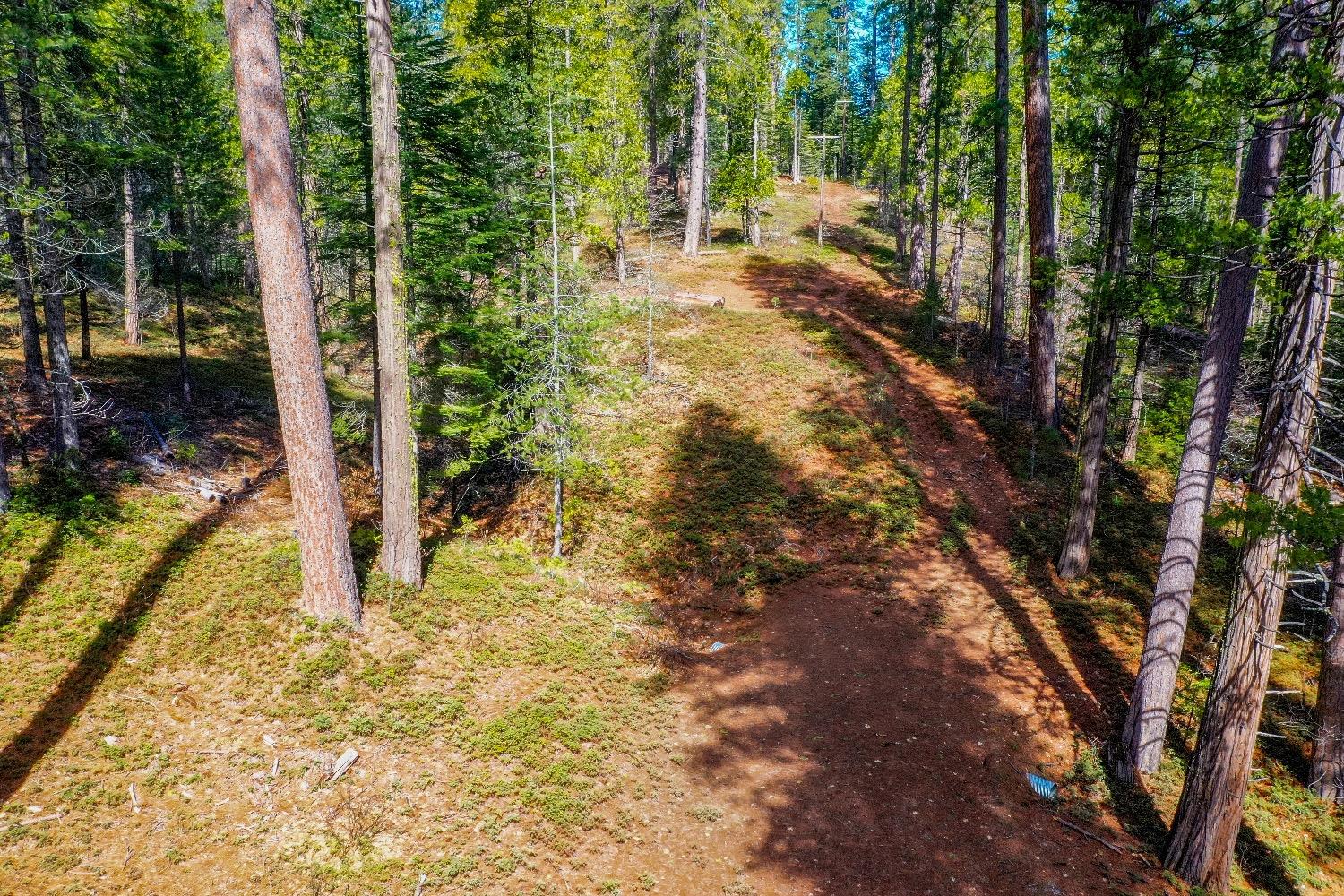 3488 Moran Road Arnold, CA 95223 - Photo 27 of 27