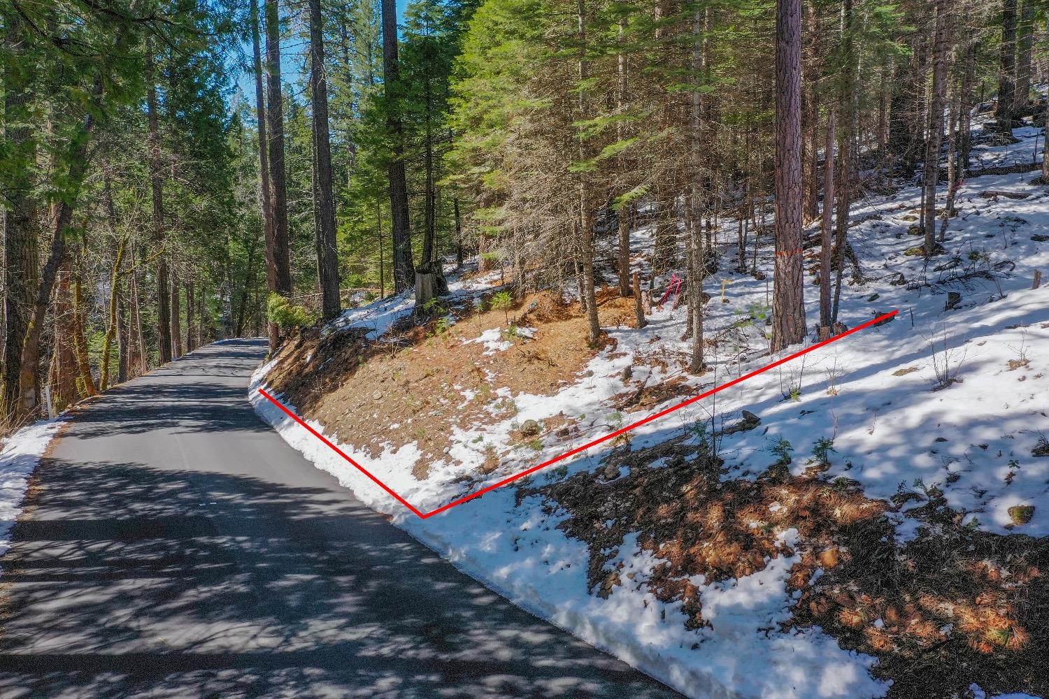 3488 Moran Road Arnold, CA 95223 - Photo 4 of 27 a view of a backyard with wooden fence and trees